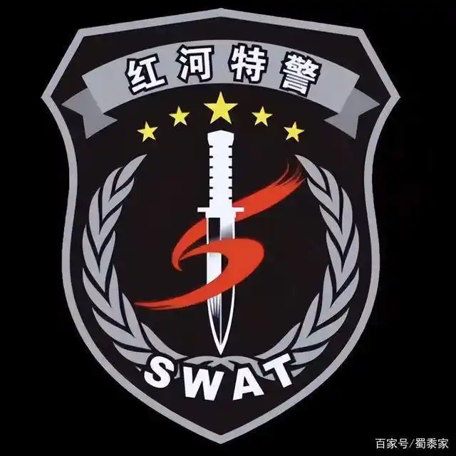 全国特警臂章大全