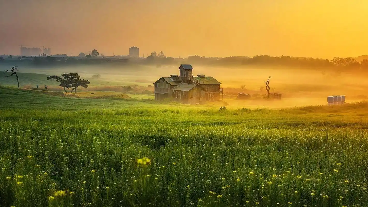 绿色护眼唯美草原风光