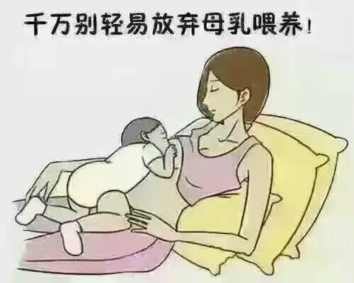 专业催乳产后涨奶 乳汁淤积 乳腺管不通 急性乳腺炎 少奶等