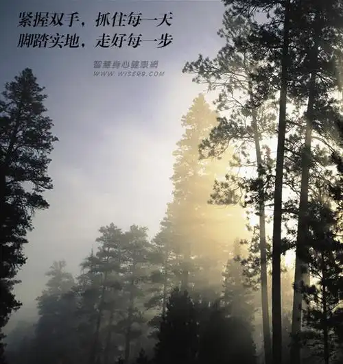 学点哲学人生格言在迷雾中迈步前行