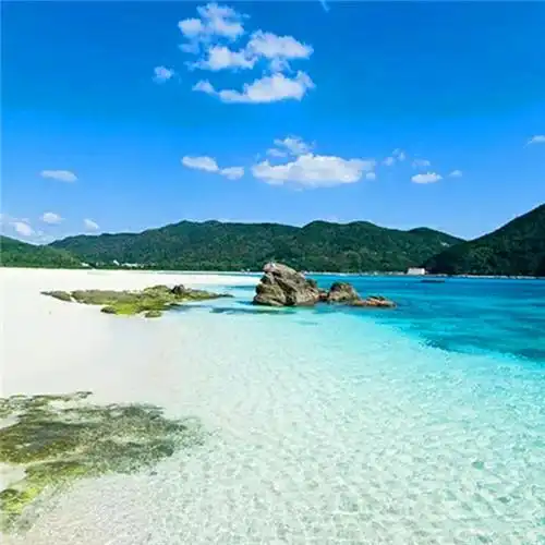 抖音图片最火头像风景