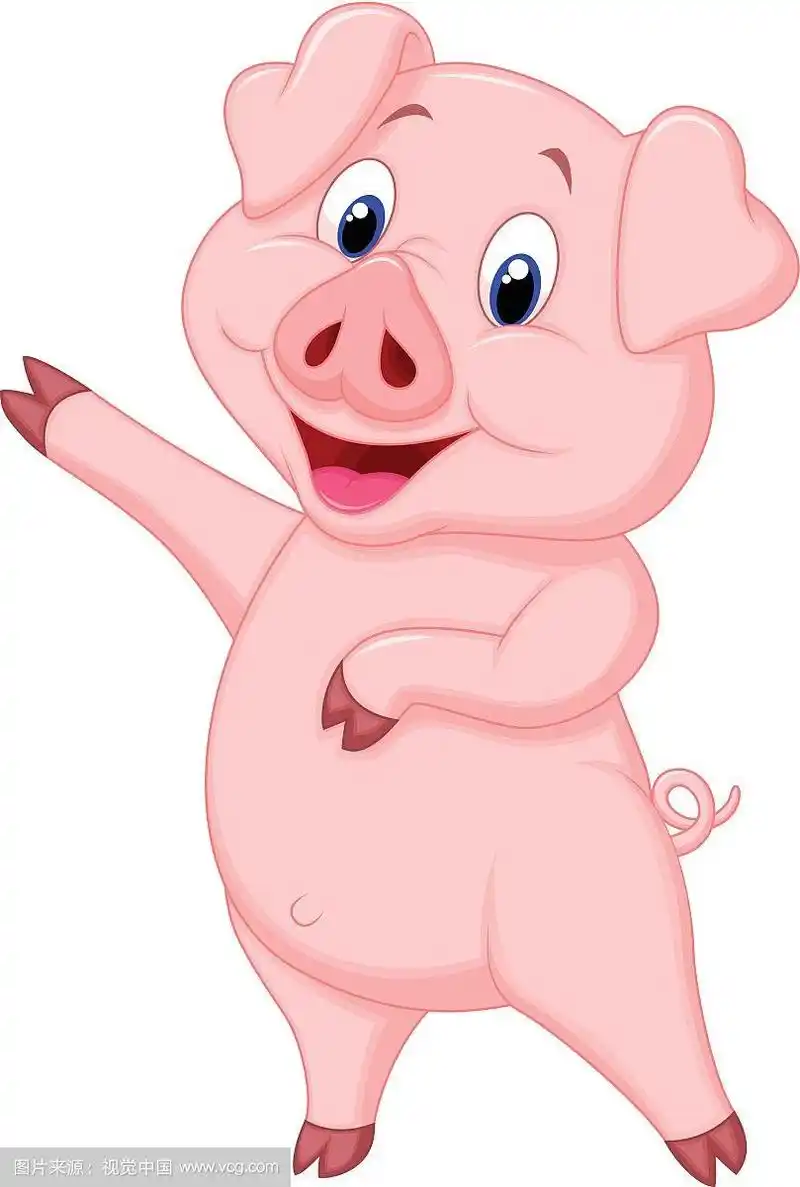 可爱的卡通猪