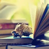 唯美复古书籍个性头像图片