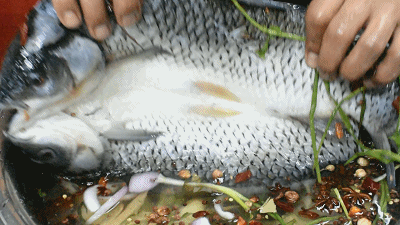 400_225gif 动态图 动图