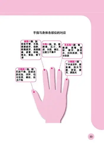 手指与全身各部位的对应