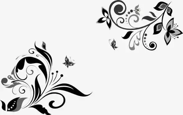关键词 : 素材,黑白,花纹,设计