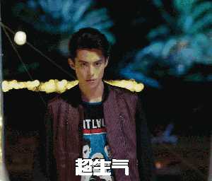 流星花园王鹤棣生气表情包gif,气到不理你