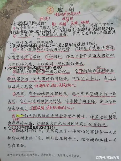 教师手写笔记,带孩子学四年级下册《琥珀》,读故事学推测