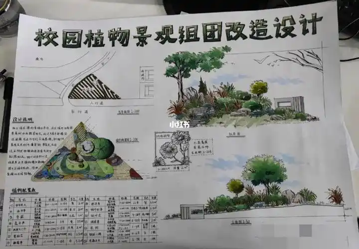 景观手绘  #园林景观  #微景观  #景观  #校园绿地景观设计