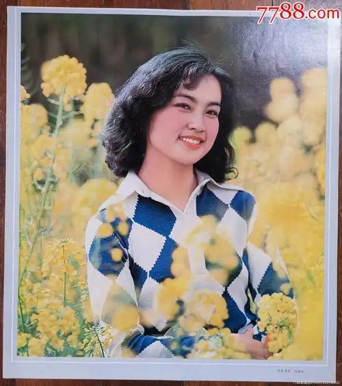 刘晓庆电影演员尺寸375x42公分