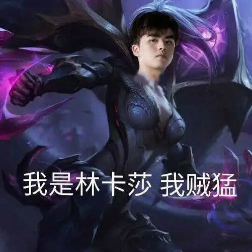 我是林卡莎我贼猛fpx夺冠表情包林卡fpx我贼夺冠表情