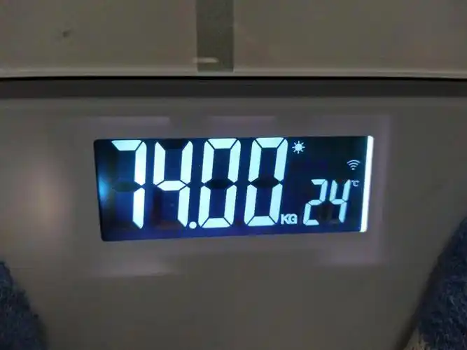 6月30日 最后一天我减到了74kg!