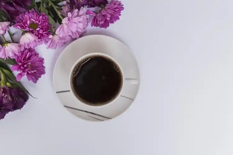 咖啡,菊花,灰色背景,茶杯,食物,花卉,照片,2560x1706