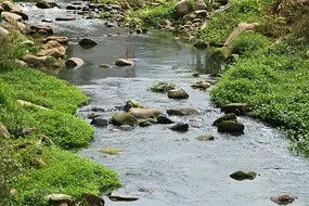 乡村小桥流水大树远山摄影照片