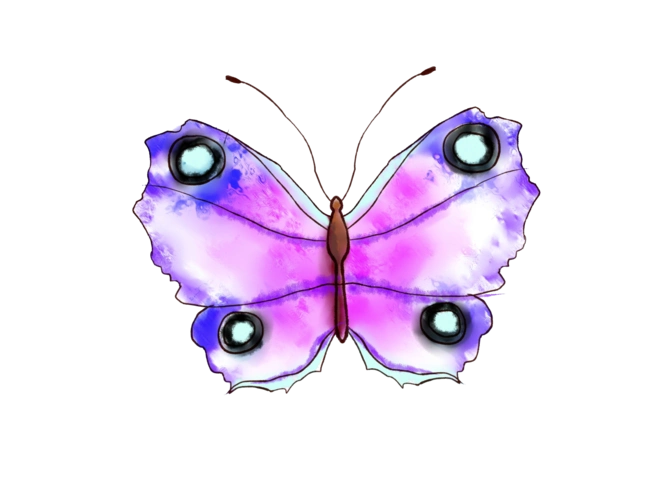 唯美手绘蝴蝶插画图片