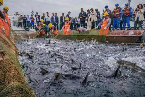 澎湃号·政务_澎湃新闻-the paper