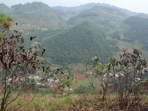 大山深处的农村,山高路远,安静祥和!