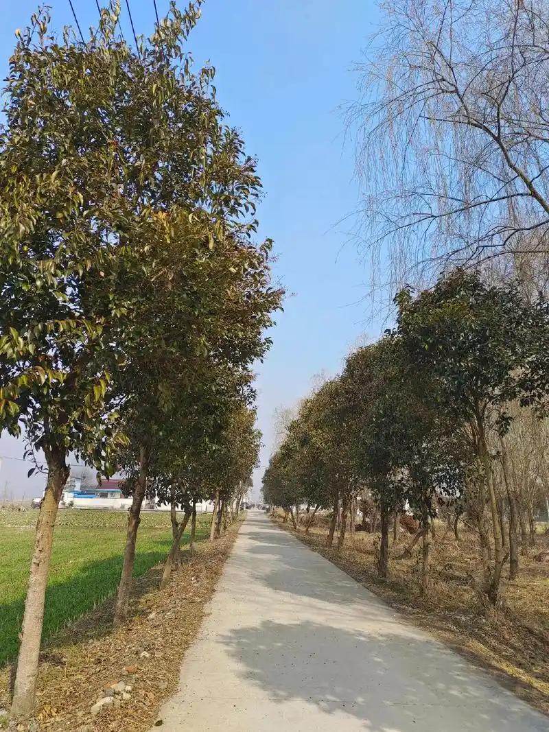 发布时间: 2024-02-11 18:46 全部评论 大家都在搜: 李兆霞盐城房产