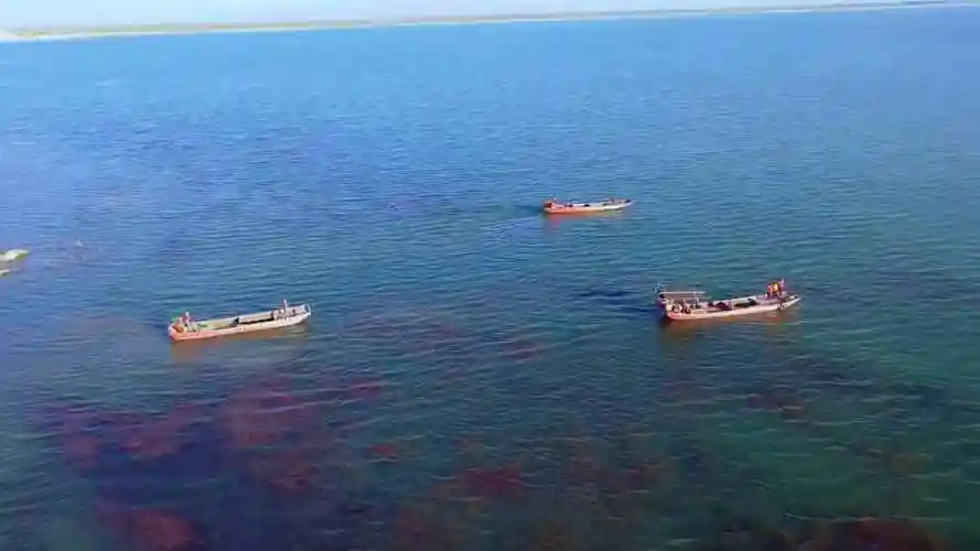 我国最大的淡水湖世界第一大淡水湖