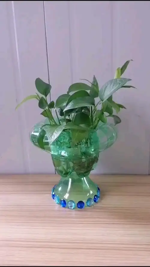 雪碧瓶子不要扔,自己做个花盆不要买花盆了.