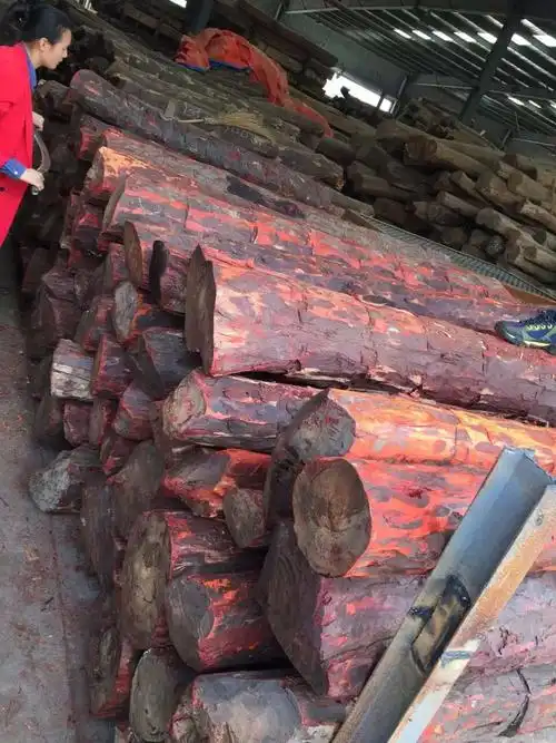 赞比亚血檀原木