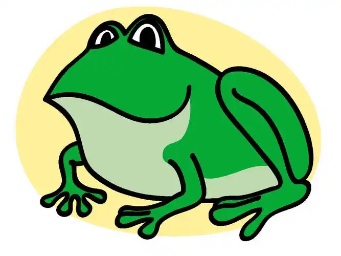 pictures of cute frogs