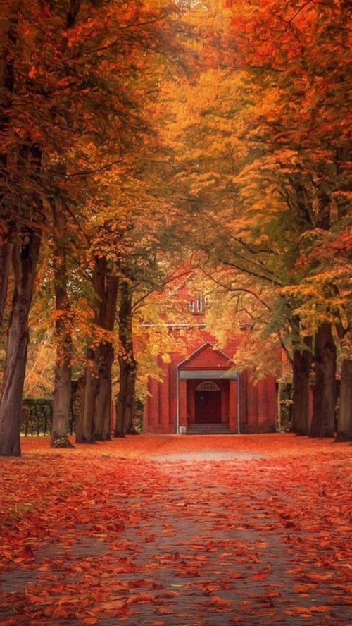 风景红色树叶路h5背景素材 - 当图网