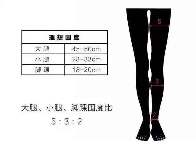 辣妹上线美腿第一步是腿型