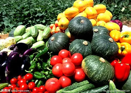 蔬菜图片[摄影图,jpg]