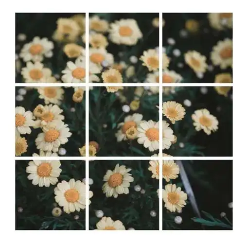 单张图片编辑里有很好用的切图功能,就是将1张照片切成四宫格,九宫格