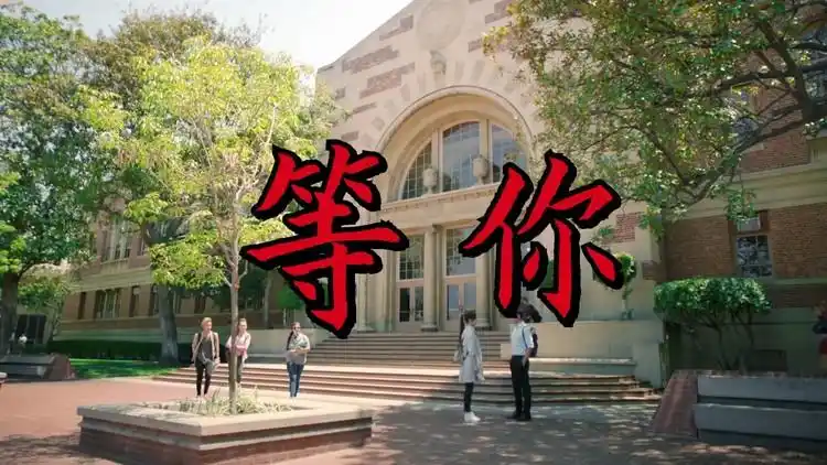 云菲菲最新情歌《等你》听一次就爱上了,一如既往的好听