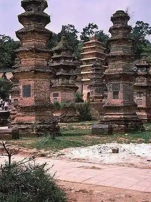 图:少林寺塔林.它们位于少林寺西约300米,是少林寺历代高僧的墓地.