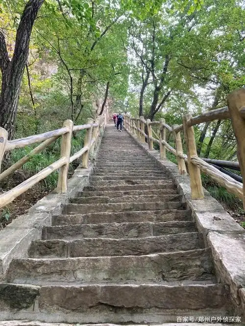 爬山登台阶自然是少不了的,一个个台阶踩在脚下,登上山顶,有种"会当凌