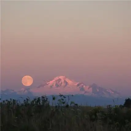 高端的朋友圈背景图 干净ins风气质的背景合集_7