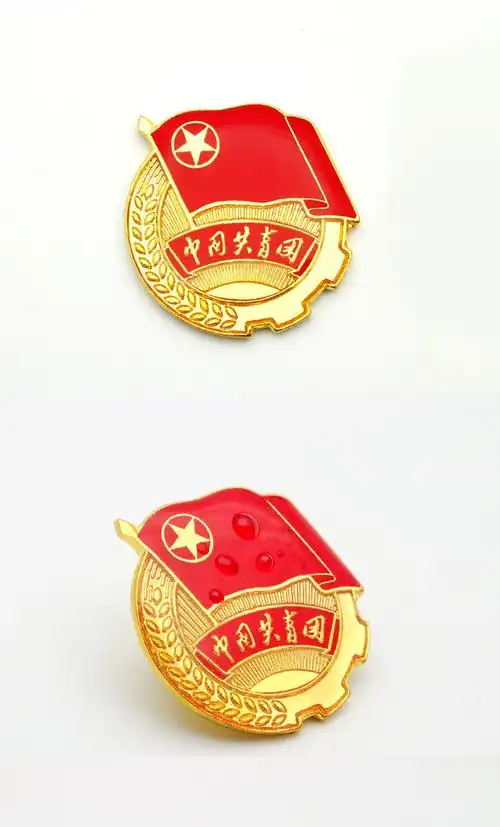 用青年强磁扣蝴蝶扣入团标准胸章徽章套装别针学校中央监制大团徽批