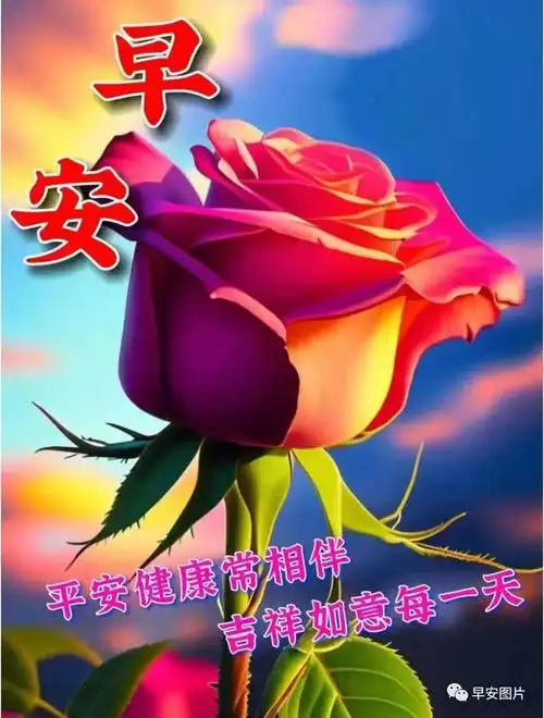 早上好温馨漂亮祝福图片问候语表情包,早安暖心问候祝福语大全