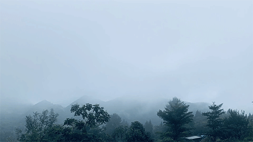 这是一个三面均是落地玻璃的「空中餐厅」,直面着重庆森林的群山,还有