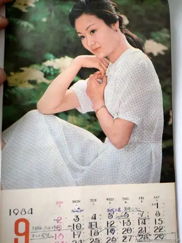 八十年代小挂历