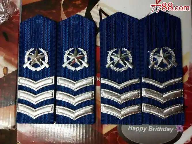 99空士官硬肩章五六期各1付