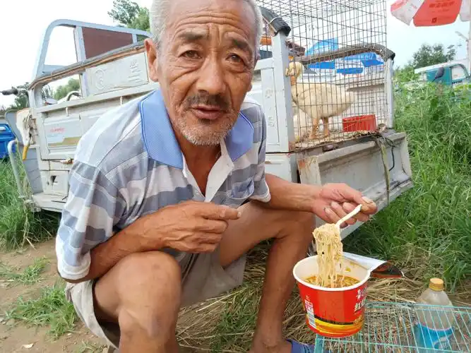 农村八旬老人与鸡,鹅同住,眼睛成了温度计,啥样