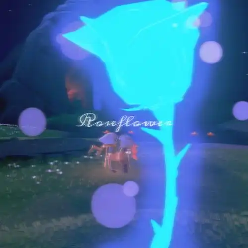 光遇日常遇境拍照打卡玫瑰向导