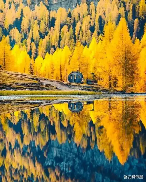 风景照片拍出艺术感,这5个摄影技巧,简单易学又好看