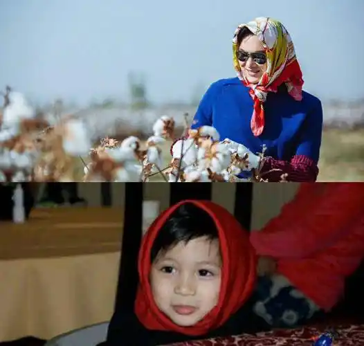 张智霖却变成了"狼外婆",袁咏仪还特意找出了魔童小时候戴着头巾的