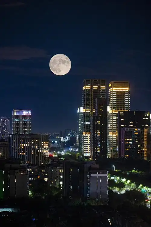 十五的月亮也很圆