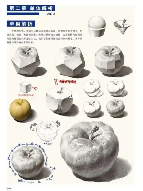 素描课件静物266苹果