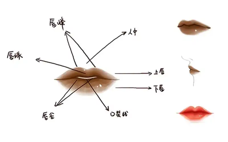 高漫の古风基础板绘教学丨古风人物绘制技法之嘴唇及唇妆馋