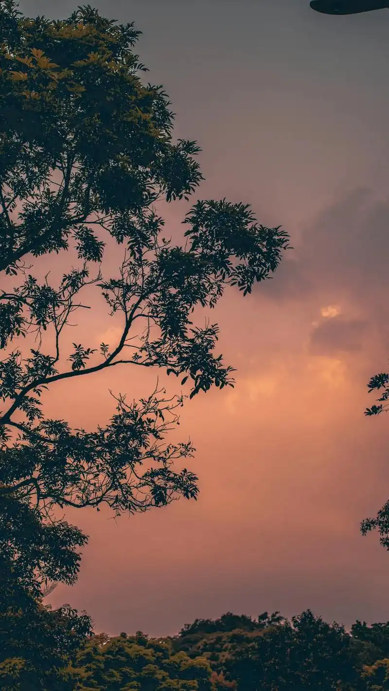 摄影 #治愈系风景 #生活碎片 #图文伙伴 - 抖音