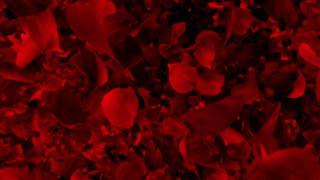 320_180gif 动态图 动图