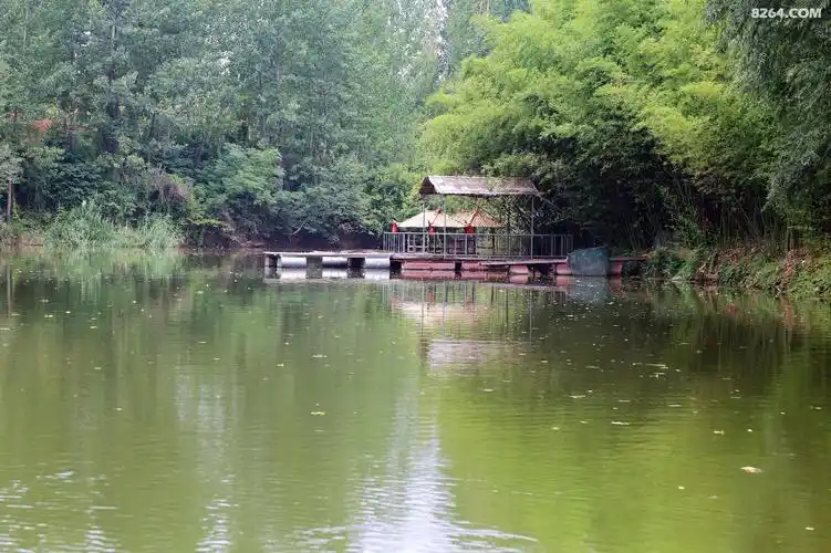 北方竹林水乡小桥流水人家