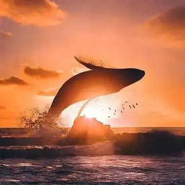 贝店图片头像贝店代言图片大全